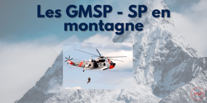 gmsp miniature