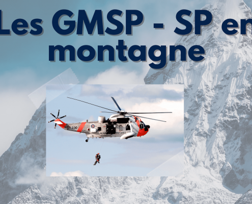 gmsp miniature