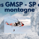 gmsp miniature